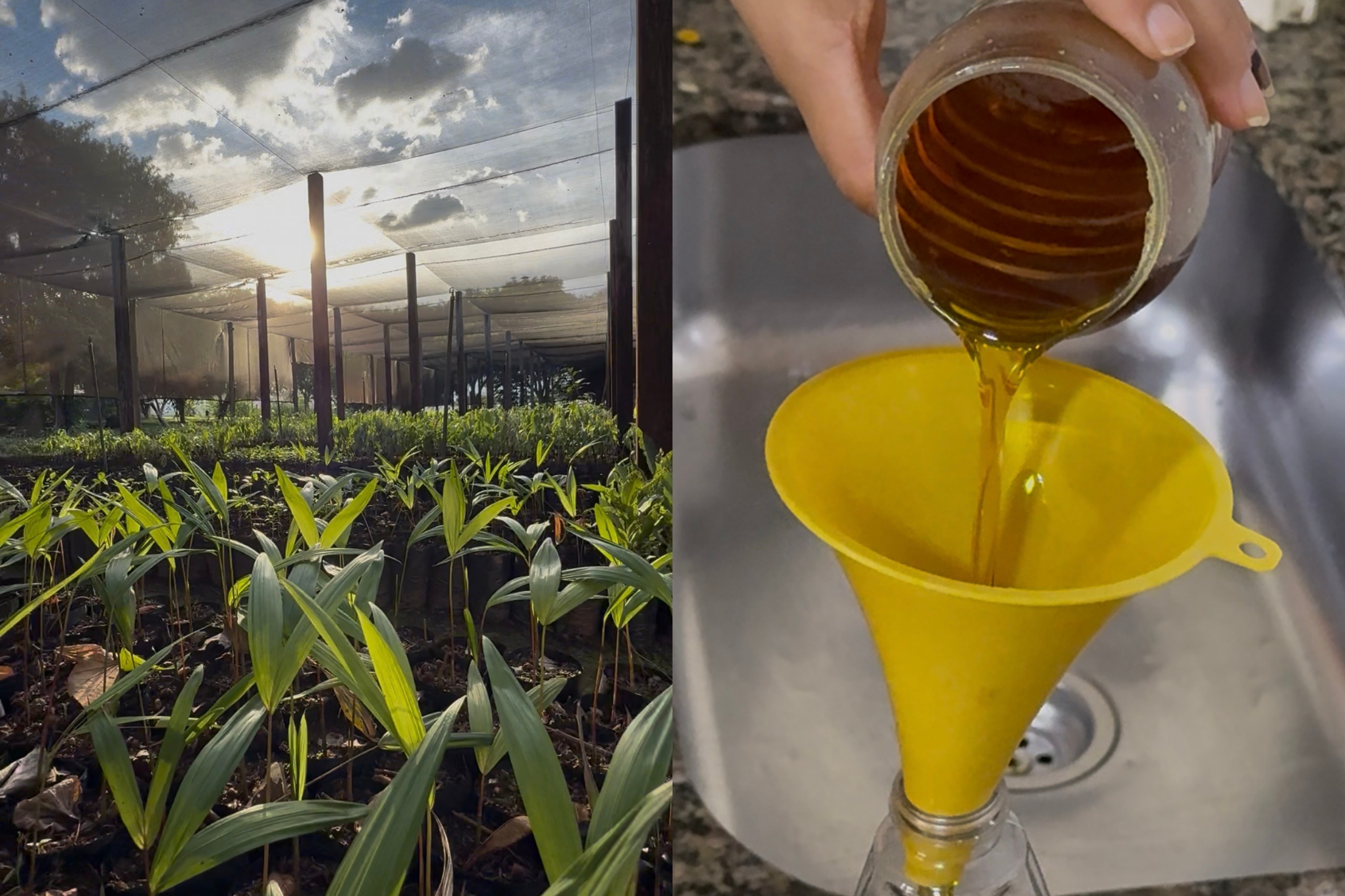 Ponto de coleta de óleo de cozinha começa a receber descartes nesta segunda-feira, 2