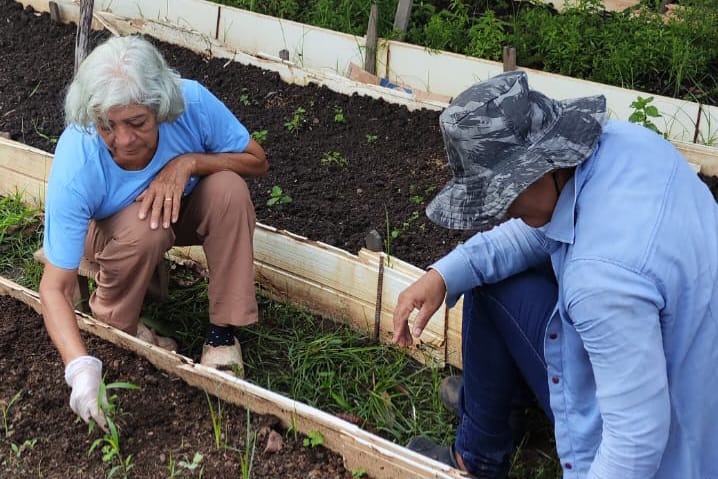 Produtora de hortaliças Maria da Luz é a primeira do segmento a fazer CAF em Palmas