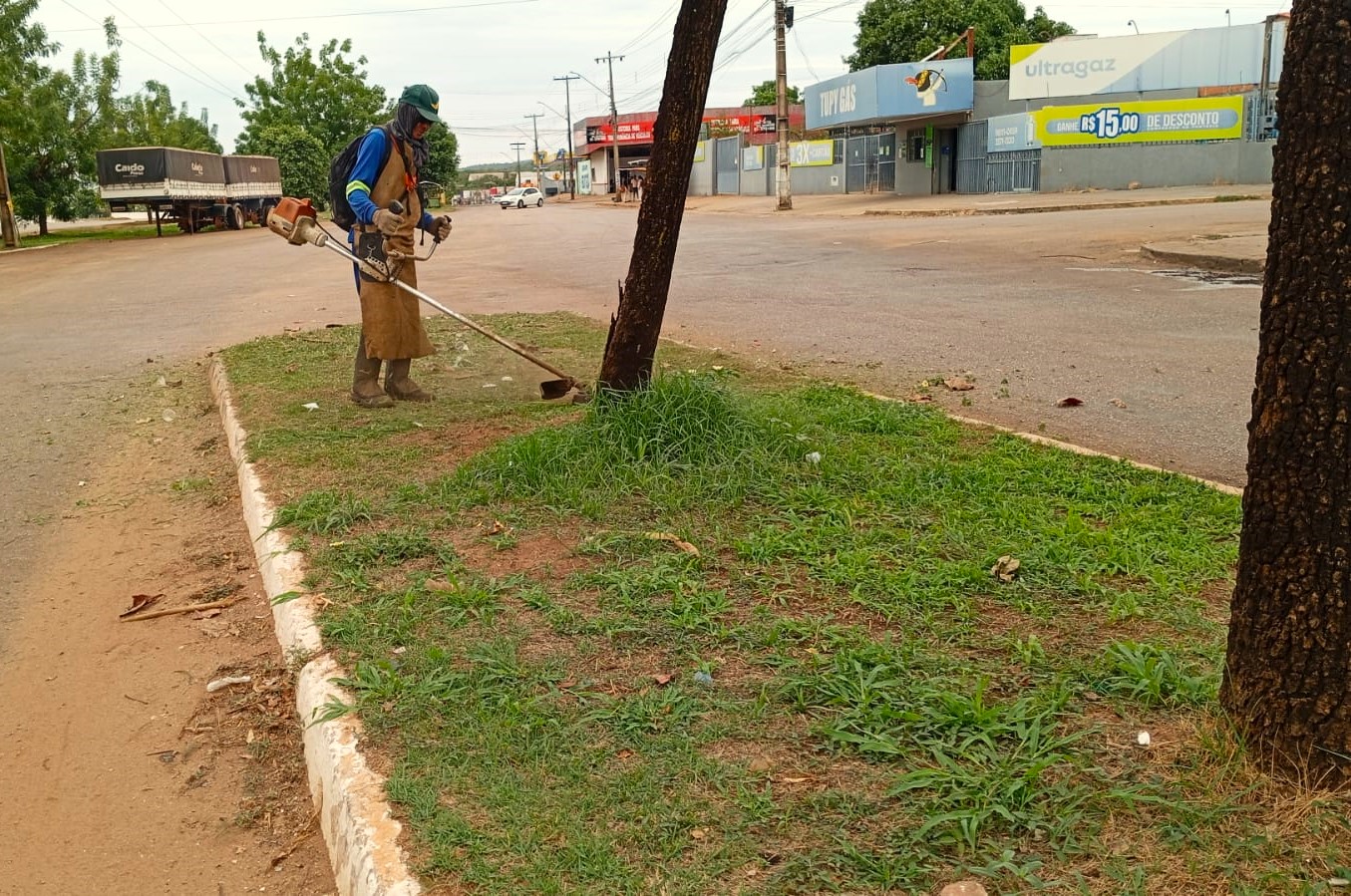 Roçagem na Avenida Tocantins, em Taquaralto