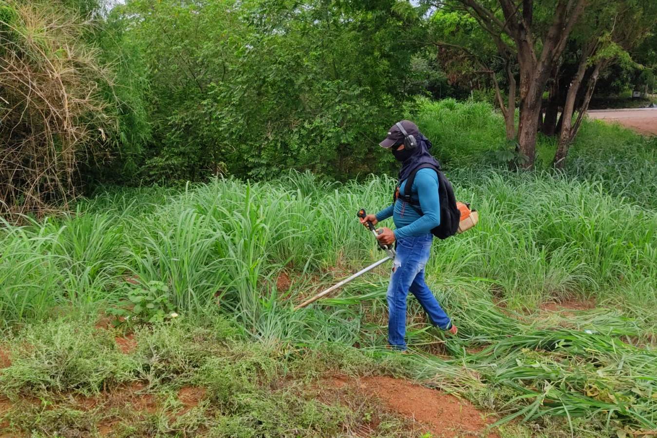 Roçagem de vegetação volumosa no setor