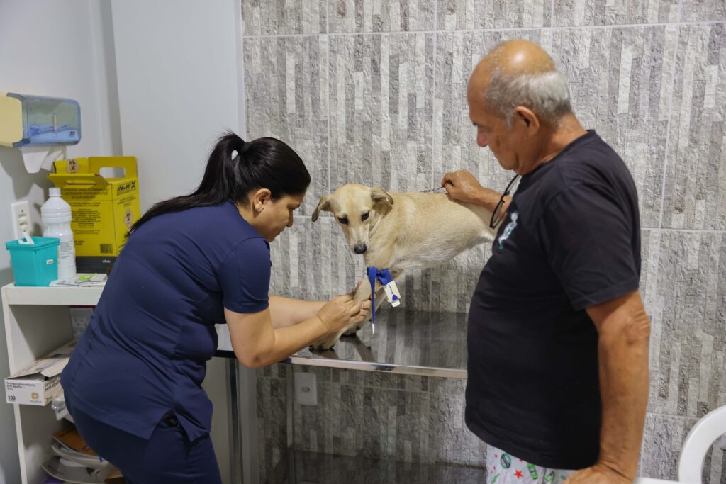 Em fevereiro, o serviço de agendamento do Castra Pet será ampliado. Interessados devem aguardar a abertura de novas agendas - Foto: Francisco Barros / Secom Palmas