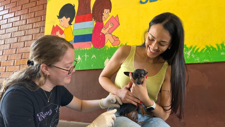 Cães e gatos são vacinados contra raiva pela Prefeitura de Palmas neste sábado, 26