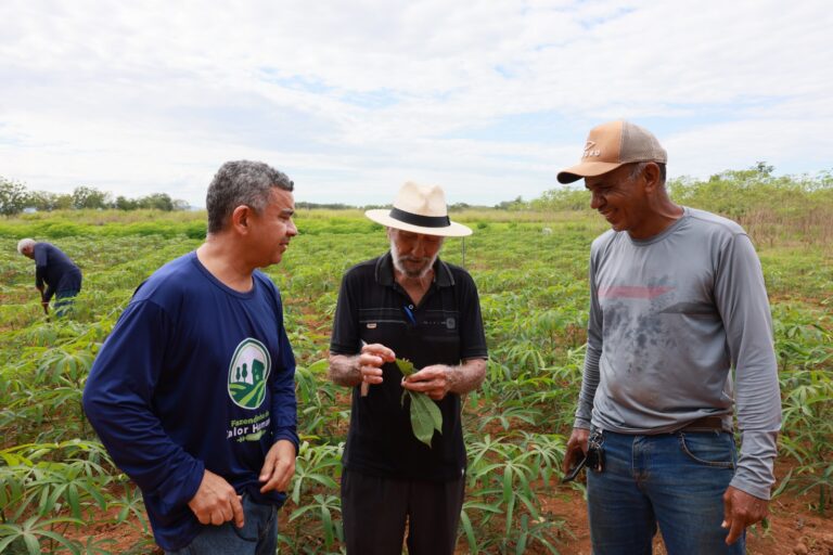Agroevolução marcará participação da Fazendinha  na Agrotins 2025 com produção sustentável e criação de peixes