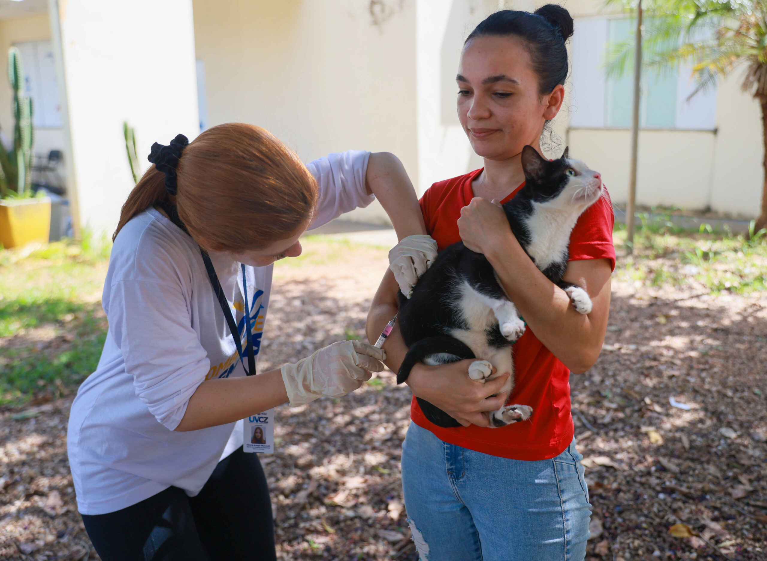 Vacinação antirrábica dos cães e gatos deve ser feita em um intervalo de 12 meses entre uma e outra para que assim possa garantir uma proteção contínua no animal