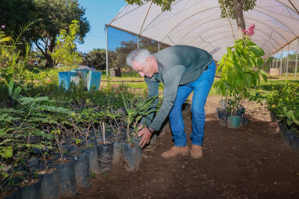 Gerente do Viveiro Municipal, Januário acompanha o ciclo de vida das flores que enfeitam a cidade