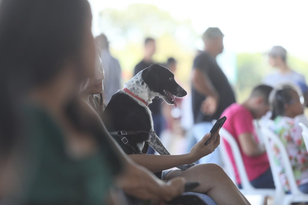 Tutor e pet aguardam atendimento veterinário gratuito