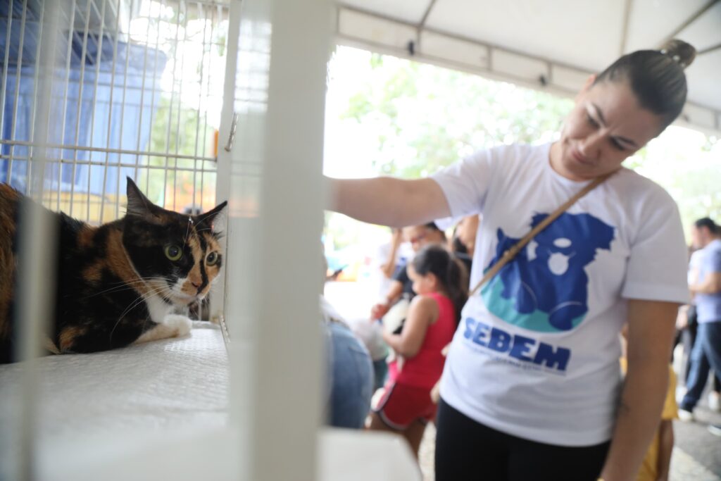 Visitantes poderão adotar cães e gatos vacinados, castrados, vermifugados e microchipados - Foto: divulgação