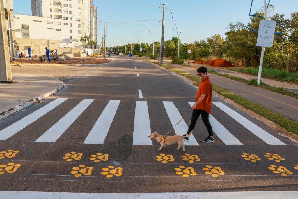 Nova sinalização será implantada em locais com grande circulação de animais e tutores, como parques e praças<br>Foto: Lia Mara