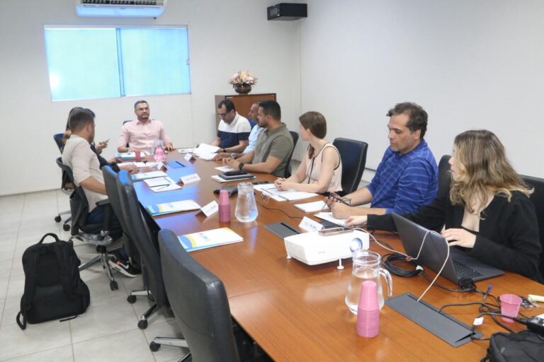 Prefeitura de Palmas inicia trabalho multissetorial do Programa de Parcerias e Investimentos