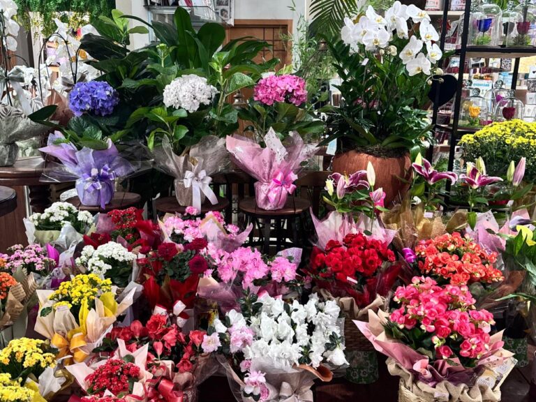 Procon Palmas encontra variação de até 2.045% em pesquisa de preços de itens para o Dia de Finados