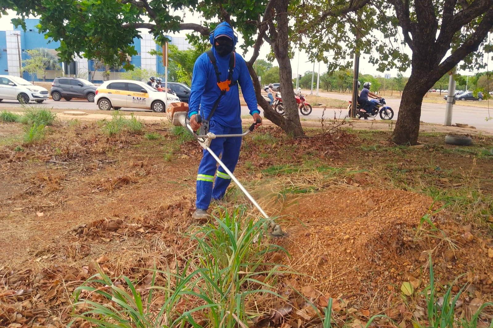 Prefeitura reforça ações preventivas de limpeza em vias de Palmas
