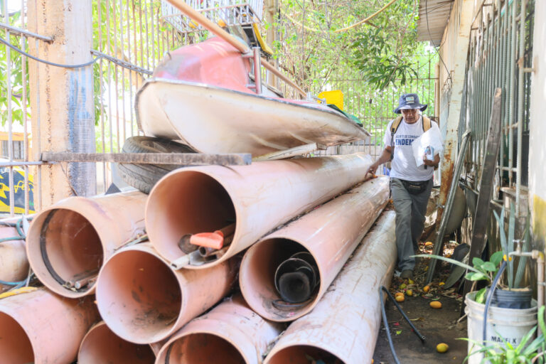 Dia D contra a dengue mobiliza vistoria em 1,8 mil imóveis na Arno 31