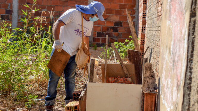 Em Palmas, mais de 76% dos focos do Aedes aegypti estão dentro das residências