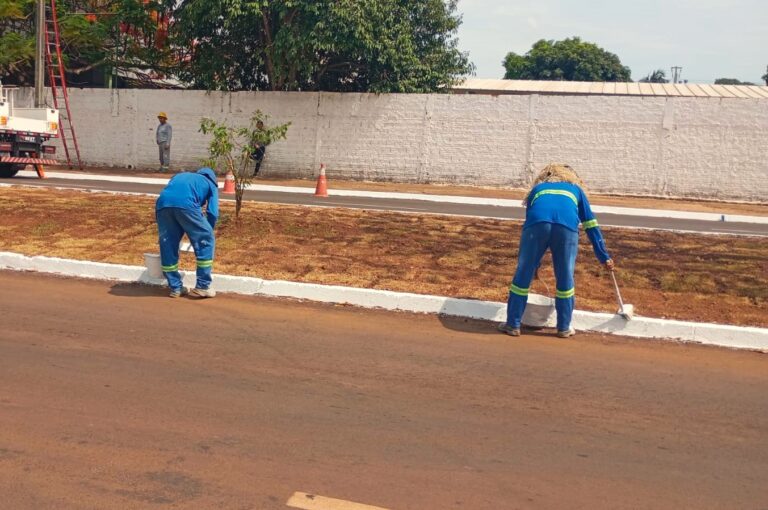Prefeitura finaliza serviços de limpeza na Avenida Goiás, no Jardim Aureny II