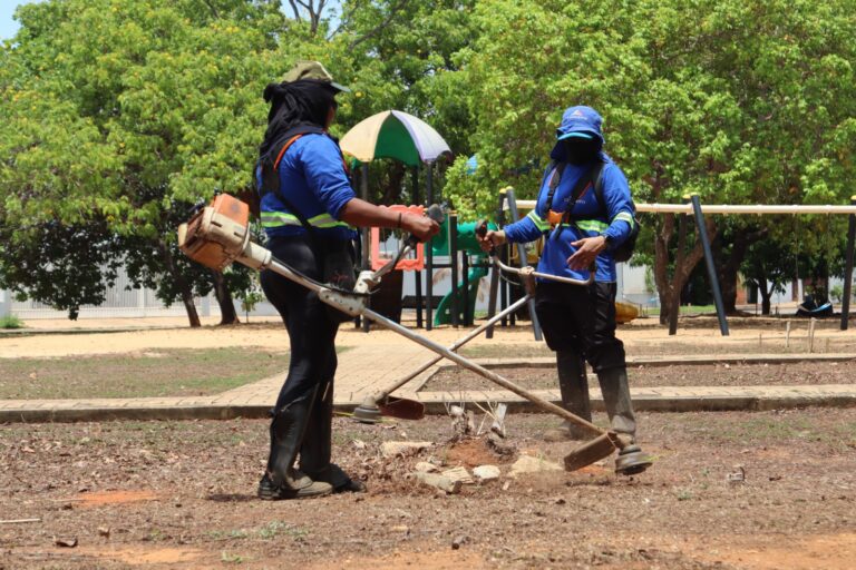 Prefeitura realiza diversos serviços de limpeza na região sudoeste da Capital
