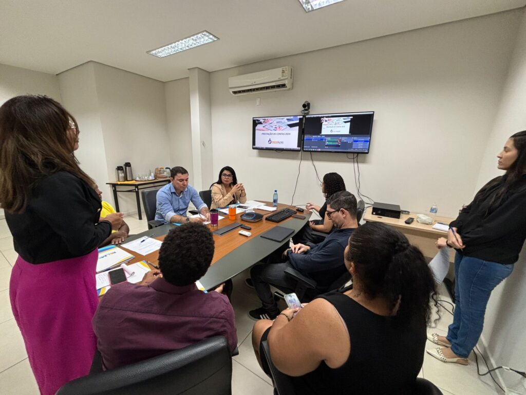 Diretora de Contabilidade Maria Angélica apresentou balanço e prestação de contas referentes ao exercício de 2024 - Foto: Divulgação Previpalmas