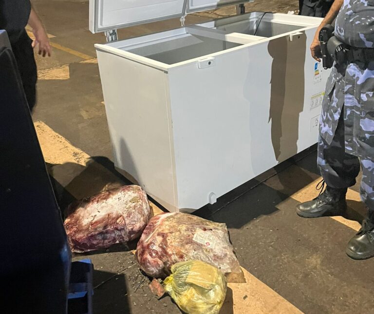 Guarda Metropolitana de Palmas prende suspeitos com freezer furtado de escola na Região Norte