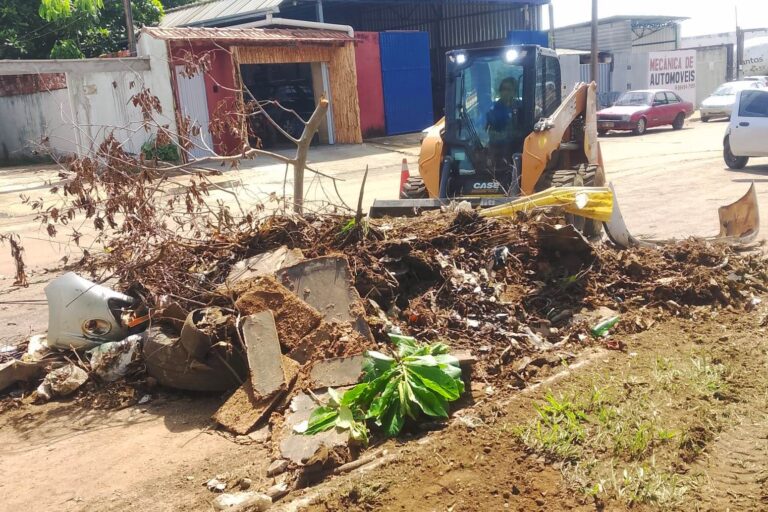 Prefeitura recolhe entulhos em avenidas centrais, no Lago Sul e em Taquaruçu Grande