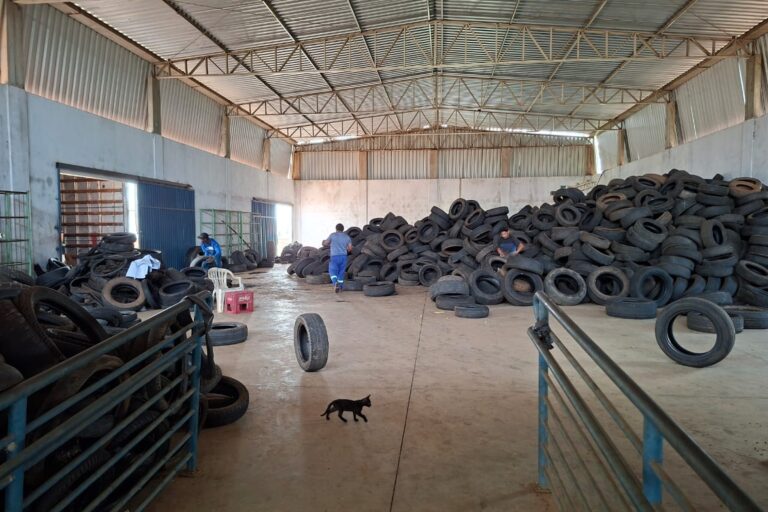 Município de Palmas ultrapassa a marca de 1.300 toneladas de pneus recolhidos em 2025