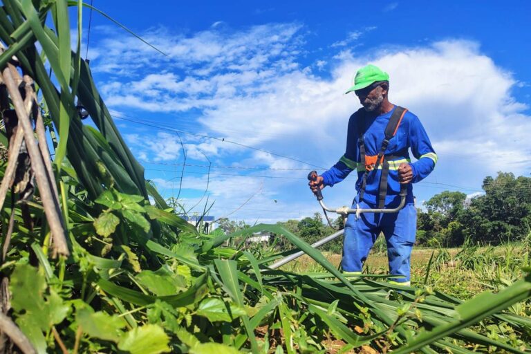 Prefeitura intensifica manutenção de áreas com vegetação na Av. JK, na Arso 142 e na Praça do Aureny I