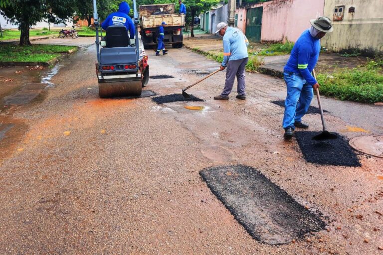 Prefeitura de Palmas executa serviços de manutenção no Jardim Taquari, Aurenys e Lago Sul