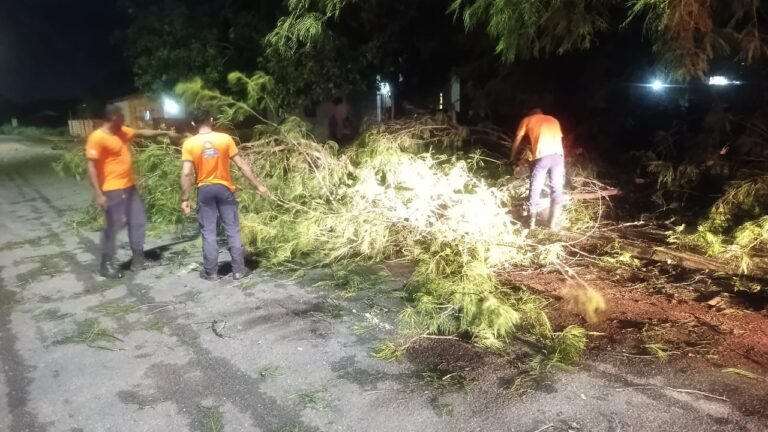 Defesa Civil de Palmas atende ocorrência de ventania no Jardim Taquari