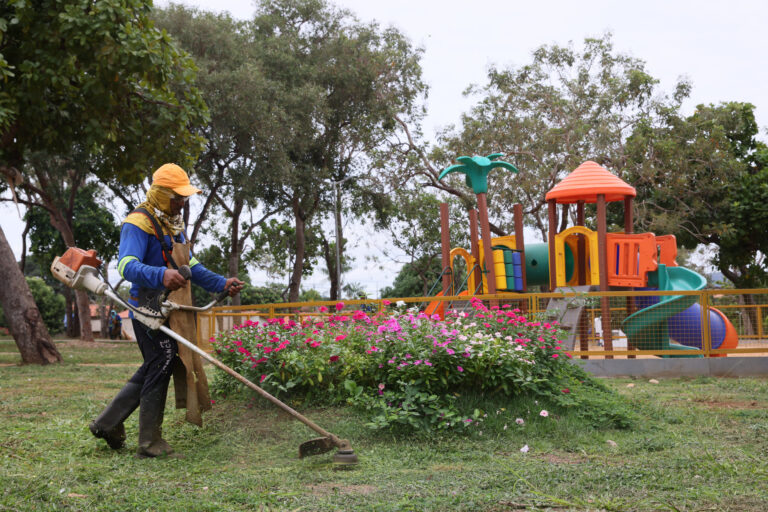 Prefeitura de Palmas inicia limpeza de praças e amplia serviços para áreas residenciais