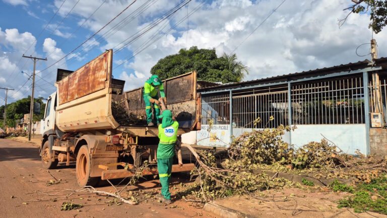 Após vendaval, Prefeitura de Palmas retira mais de 250 toneladas de galhadas do Jardim Taquari